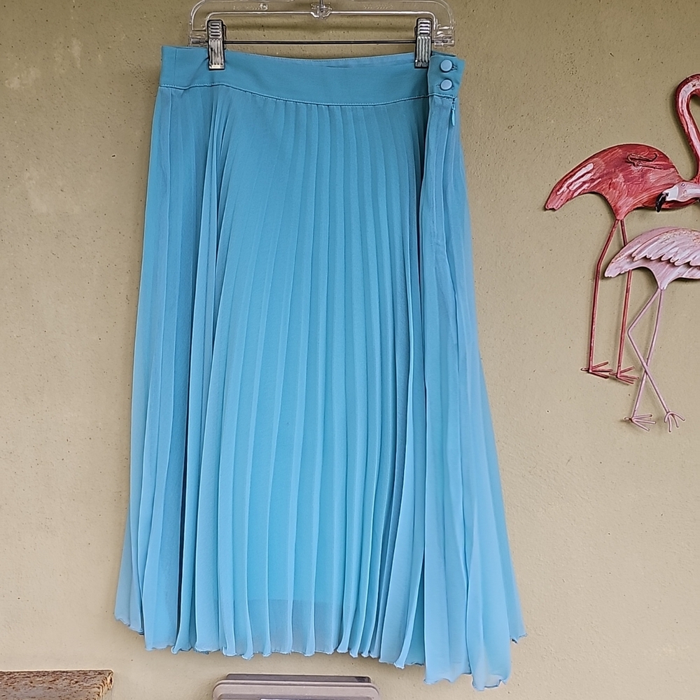 Zara Pleated Midi Skirt